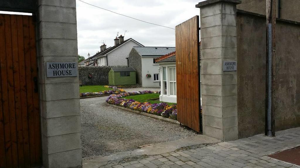 Ashmore House Cashel Extérieur photo